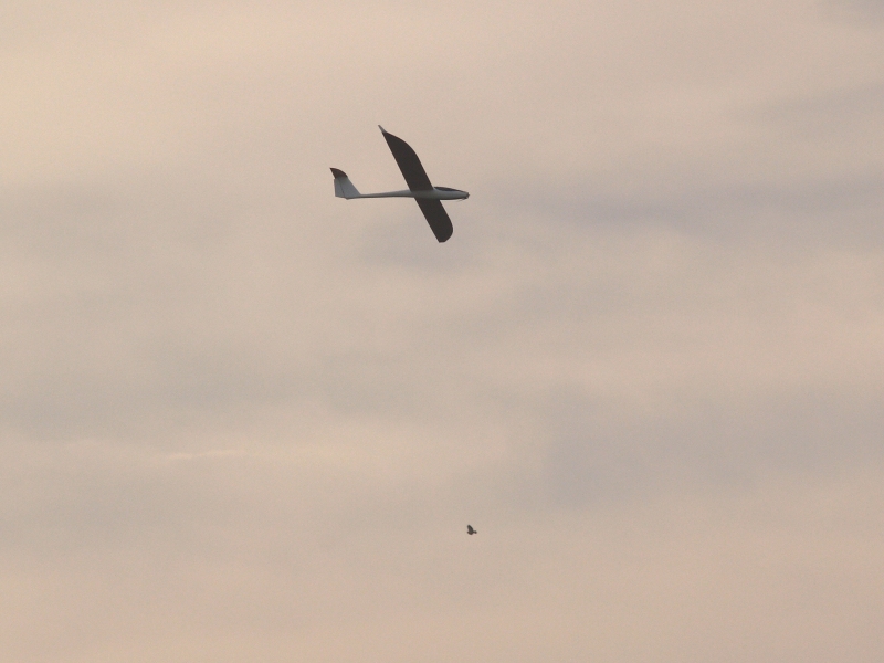 ����� ���� ��� �� ����� ��� ������ �� ������ �������