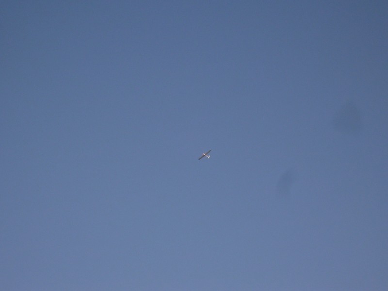 ����� ���� ��� �� ����� ��� ������ �� ������ �������