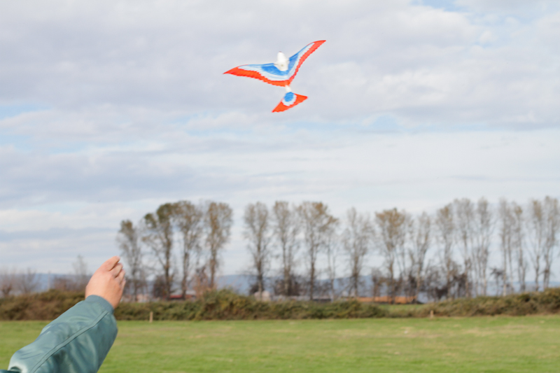 ����� ���� ��� �� ����� ��� ������ �� ������ �������