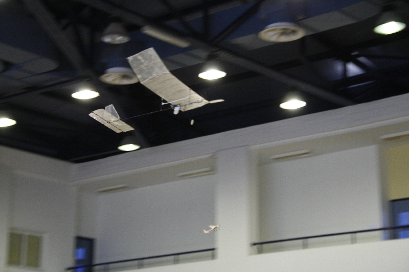 ����� ���� ��� �� ����� ��� ������ �� ������ �������