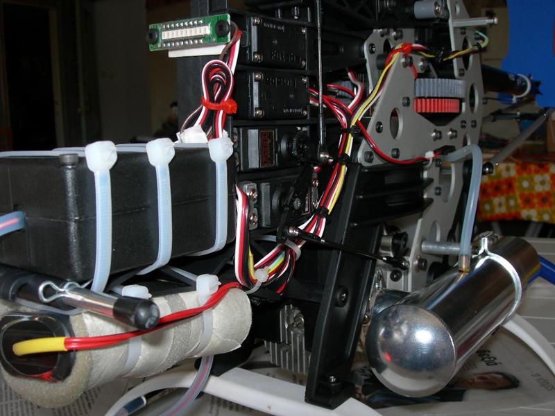 ����� ���� ��� �� ����� ��� ������ �� ������ �������