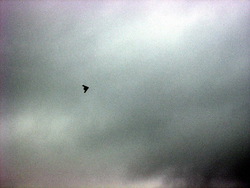 ����� ���� ��� �� ����� ��� ������ �� ������ �������