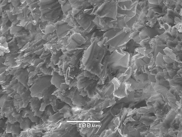 ����� ���� ��� �� ����� ��� ������ �� ������ �������