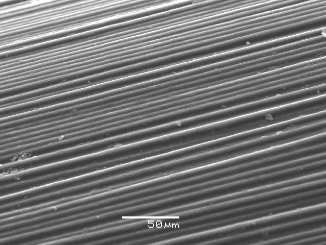 ����� ���� ��� �� ����� ��� ������ �� ������ �������