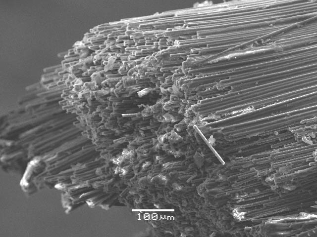 ����� ���� ��� �� ����� ��� ������ �� ������ �������