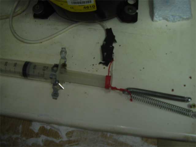 ����� ���� ��� �� ����� ��� ������ �� ������ �������