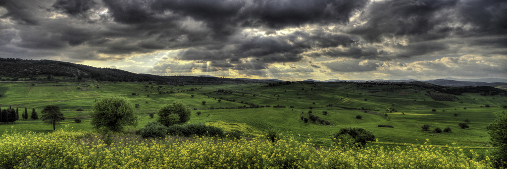 ����� ���� ��� �� ����� ��� ������ �� ������ �������