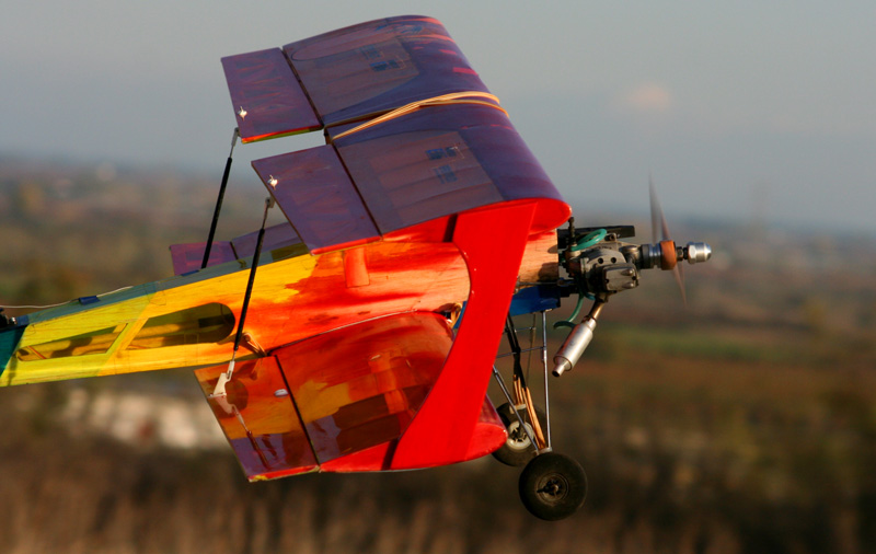 ����� ���� ��� �� ����� ��� ������ �� ������ �������