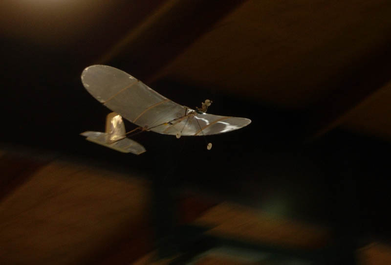 ����� ���� ��� �� ����� ��� ������ �� ������ �������