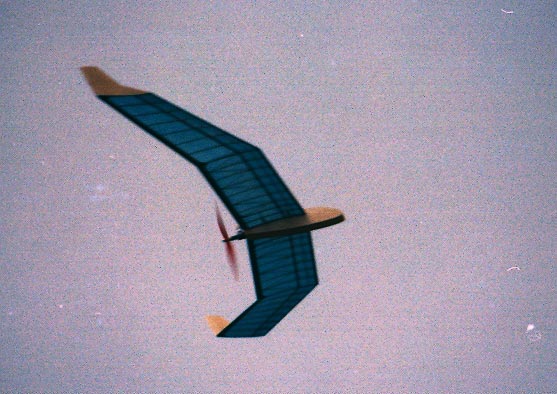 ����� ���� ��� �� ����� ��� ������ �� ������ �������