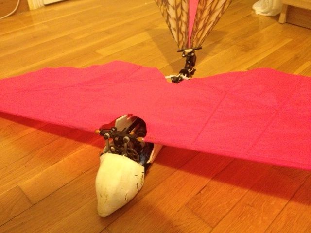 ����� ���� ��� �� ����� ��� ������ �� ������ �������