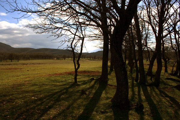 ����� ���� ��� �� ����� ��� ������ �� ������ �������