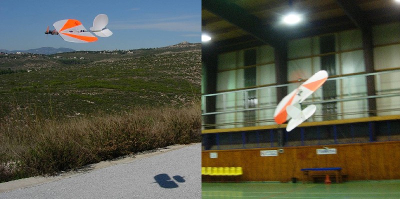 ����� ���� ��� �� ����� ��� ������ �� ������ �������