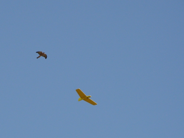 ����� ���� ��� �� ����� ��� ������ �� ������ �������