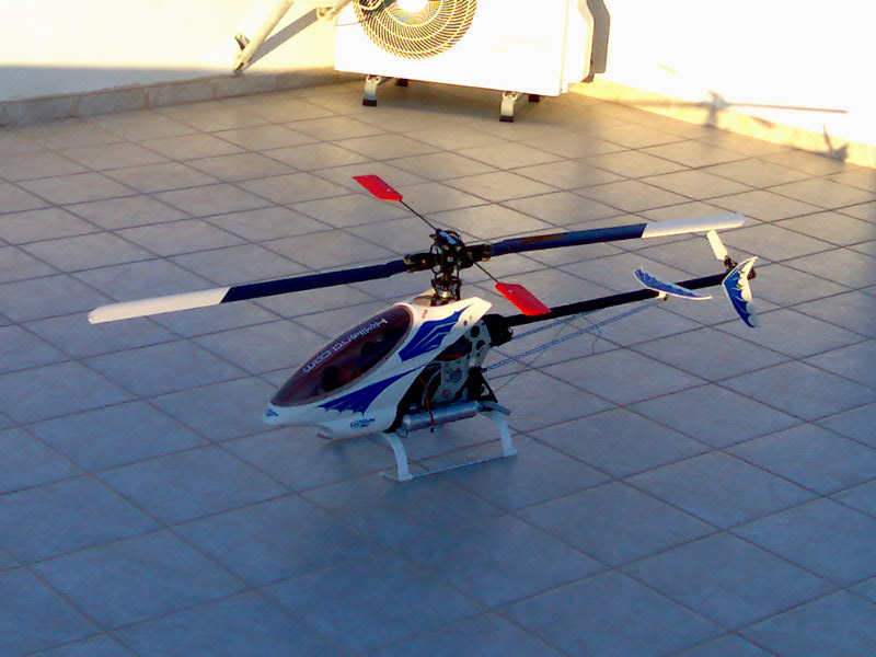 ����� ���� ��� �� ����� ��� ������ �� ������ �������