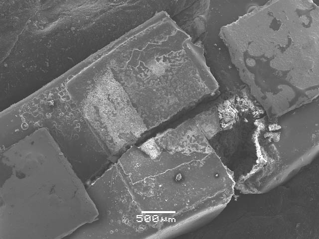 ����� ���� ��� �� ����� ��� ������ �� ������ �������