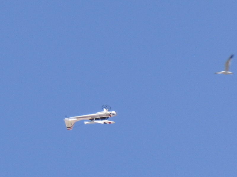 ����� ���� ��� �� ����� ��� ������ �� ������ �������