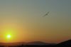 DSC_1097.JPG