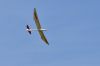 DSC_2983.jpg
