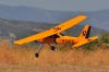 DSC_3176.JPG