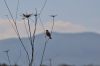 DSC_3647.JPG
