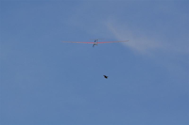 ����� ���� ��� �� ����� ��� ������ �� ������ �������