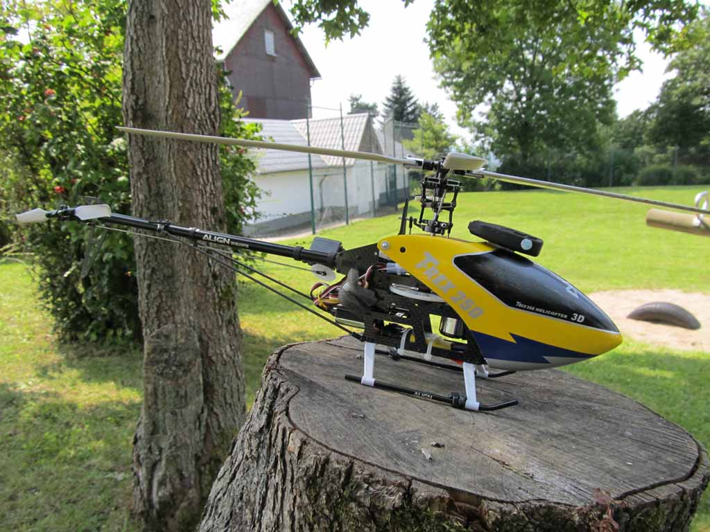 ����� ���� ��� �� ����� ��� ������ �� ������ �������