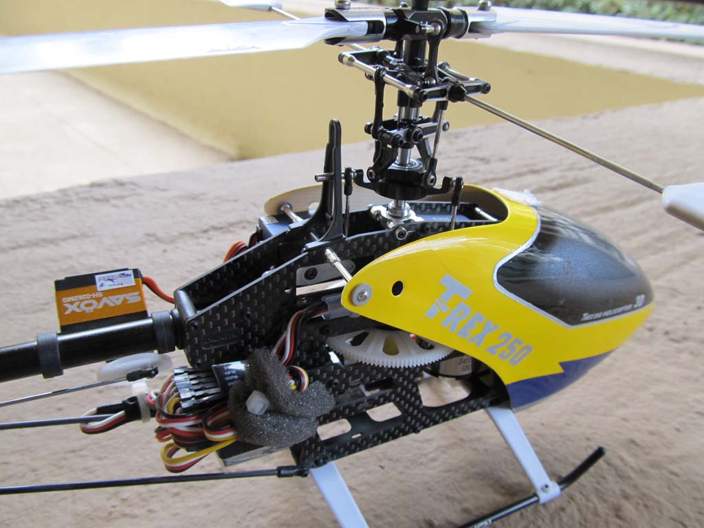 ����� ���� ��� �� ����� ��� ������ �� ������ �������