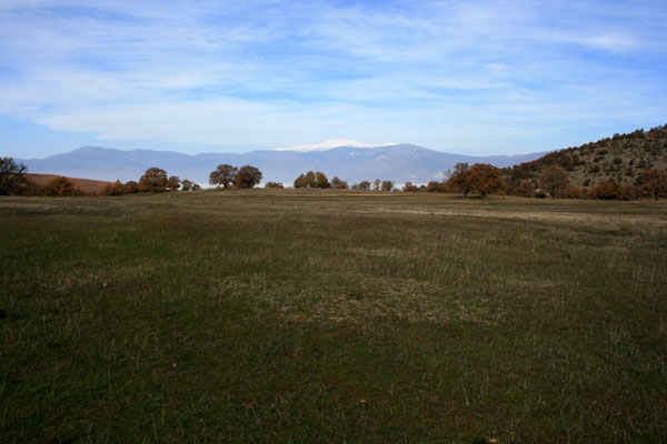 ����� ���� ��� �� ����� ��� ������ �� ������ �������